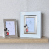 Mickey Mouse foto album