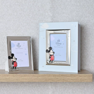 Mickey Mouse foto album